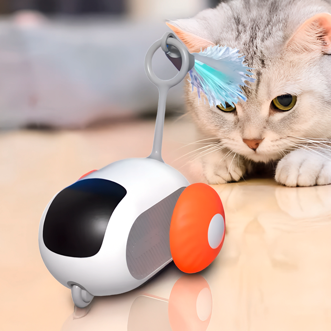 Remote Control Cat Toy – Smart Pet Sports Car with USB Charging