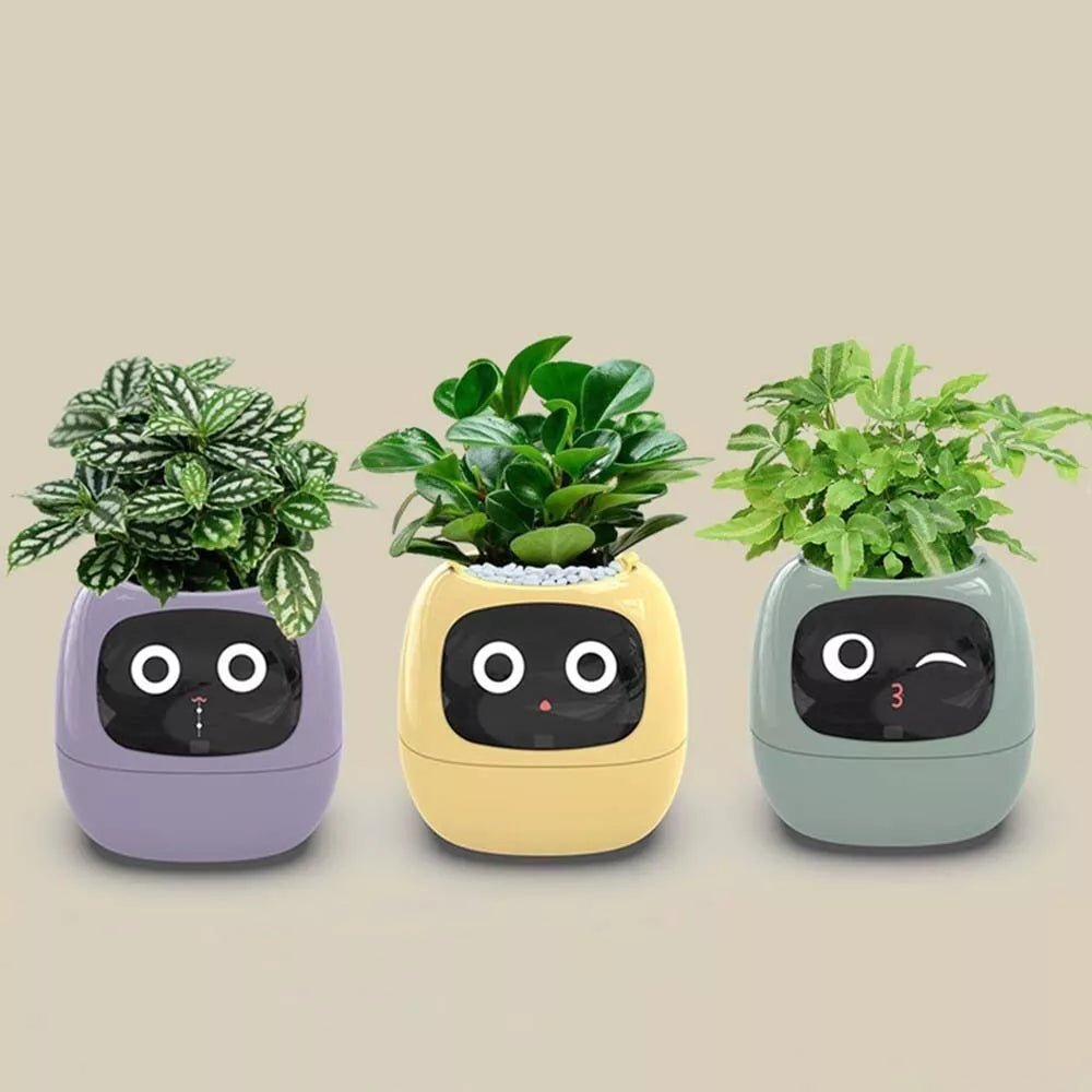 Smart Sensors Planter - 7 Smart Sensors, and Ai Chips Make Raising Plants Easy and Fun for Living Room