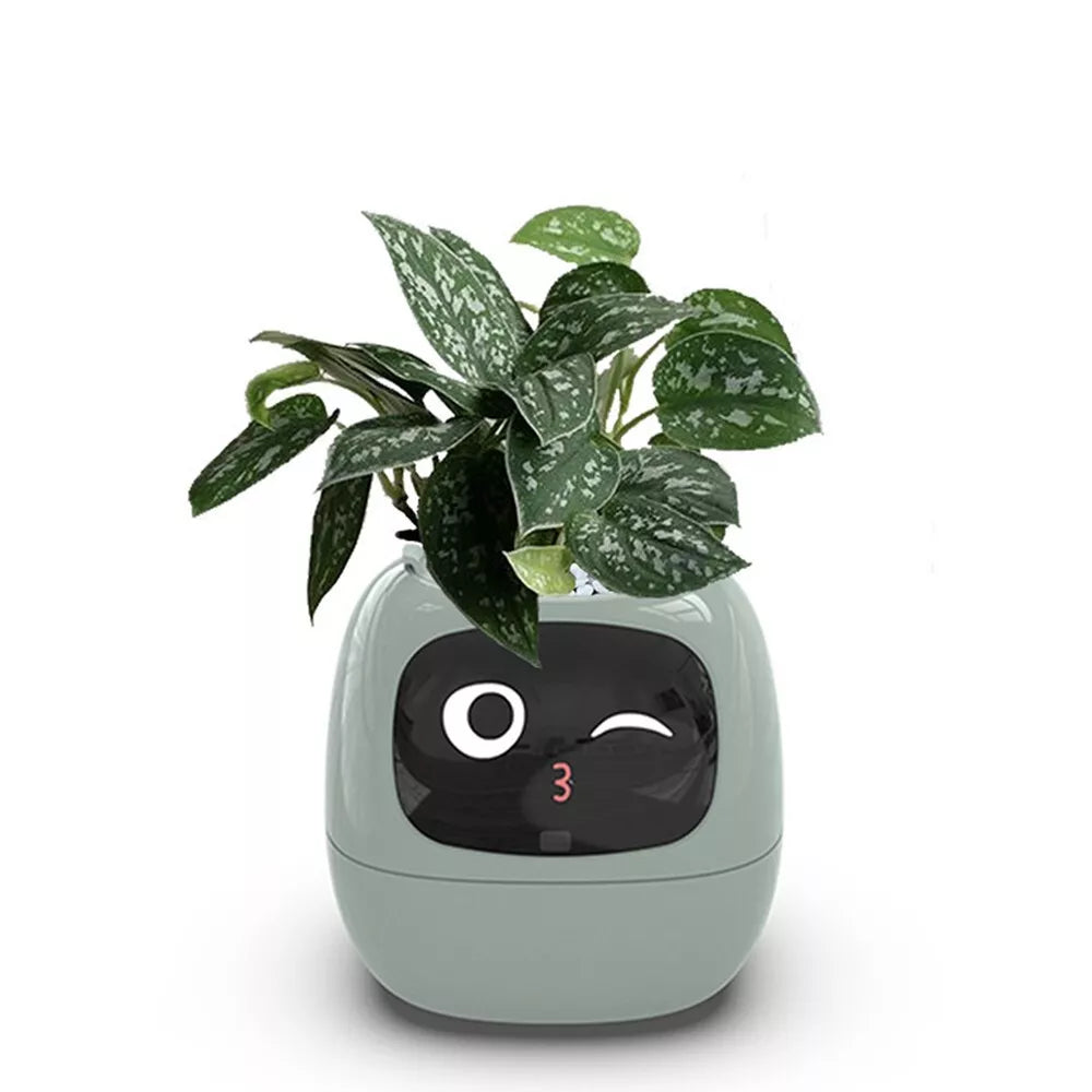 Smart Sensors Planter - 7 Smart Sensors, and Ai Chips Make Raising Plants Easy and Fun for Living Room