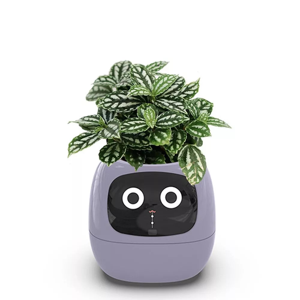 Smart Sensors Planter - 7 Smart Sensors, and Ai Chips Make Raising Plants Easy and Fun for Living Room