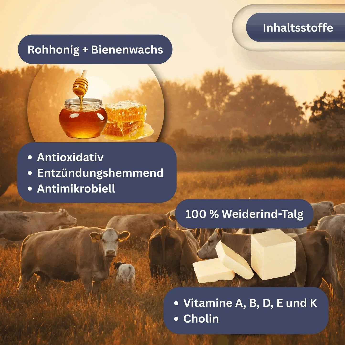 Beef Tallow Moisturizer mit Bienenwachs & Honig – 2-in-1 Hautpflege