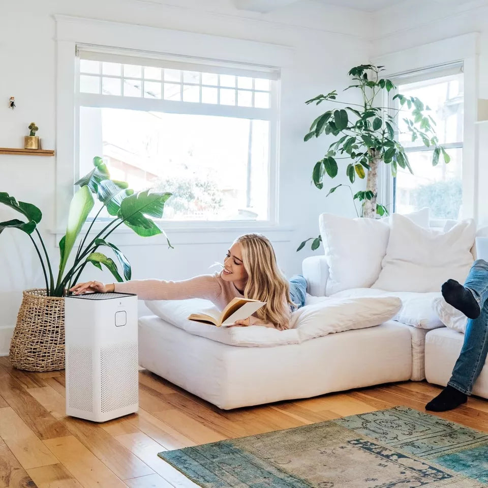 Whole House Air Purifier