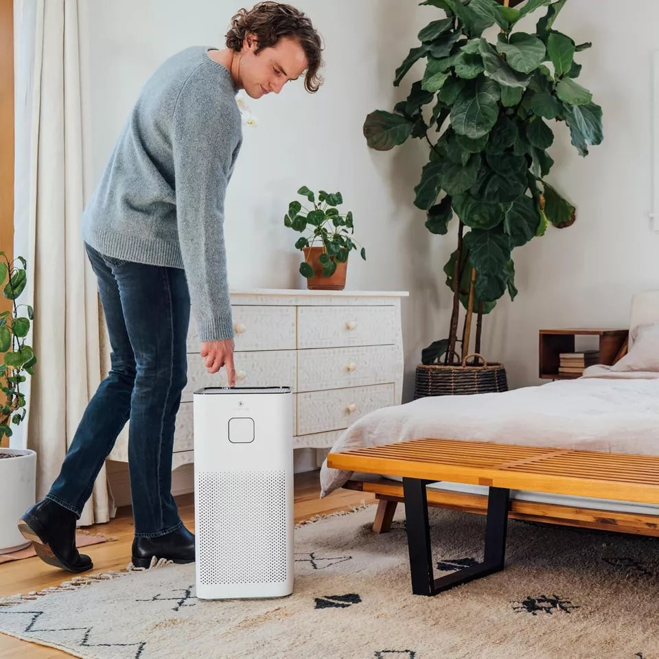 Whole House Air Purifier