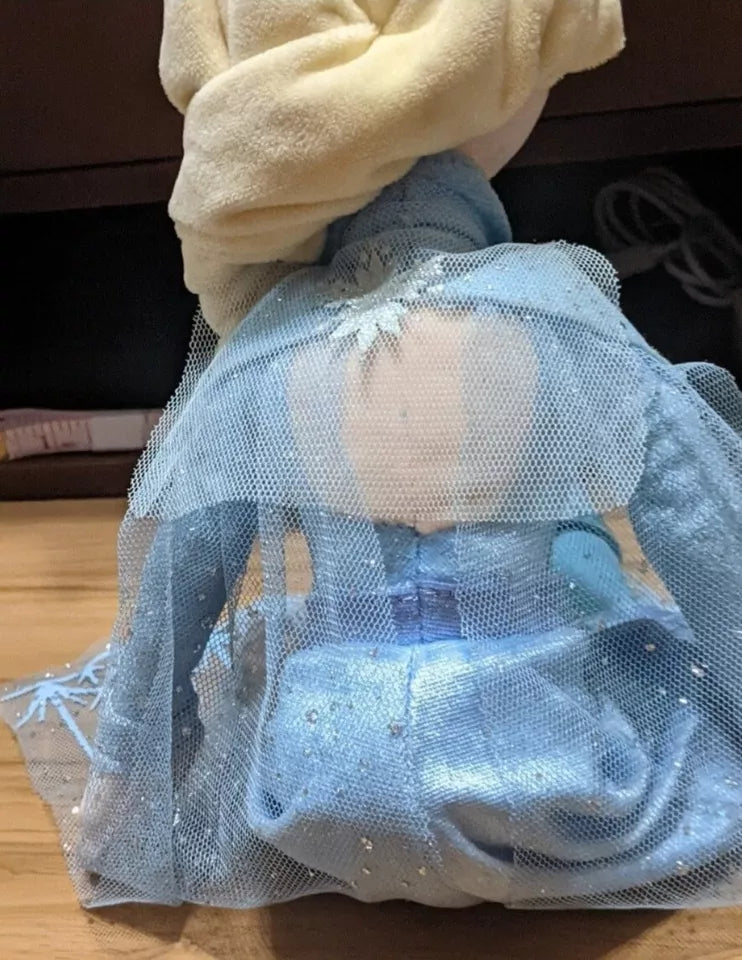 Frozen Princess Elsa & Anna Soft Stuffed Dolls