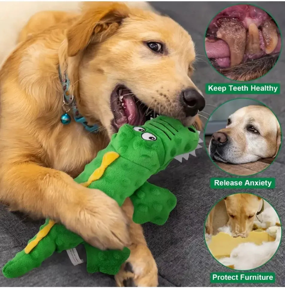 Crocodile Chew stuffed Toy