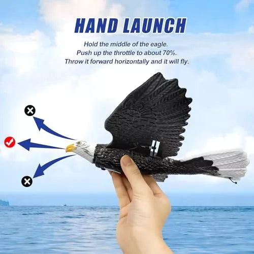 RC Flying Eagle