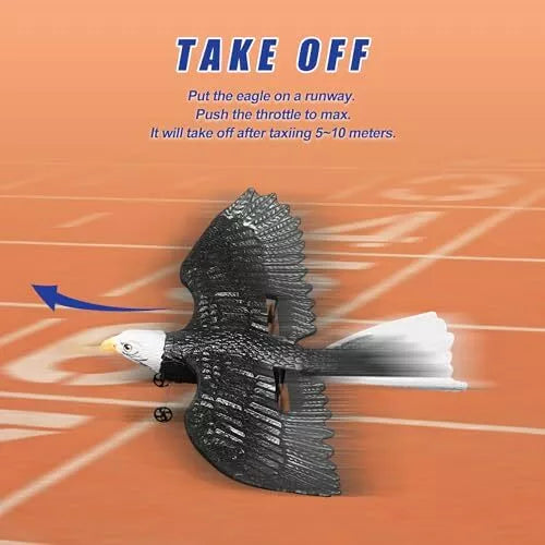 RC Flying Eagle