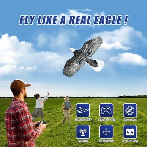 RC Flying Eagle