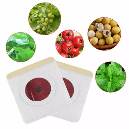 Slimming Patch - Magnetic Slimming Patch Diet Weight Loss Stickers Belly Button Patch