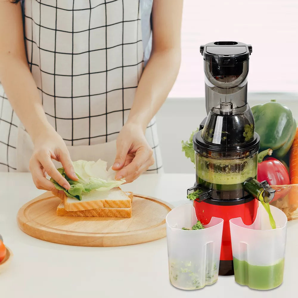 Automatic Juicer - Juicer Household Residue for Fruits and Vegetables