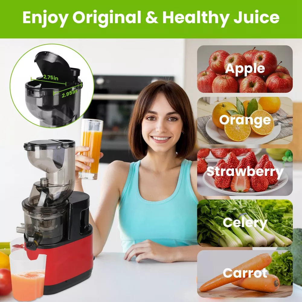 Automatic Juicer - Juicer Household Residue for Fruits and Vegetables