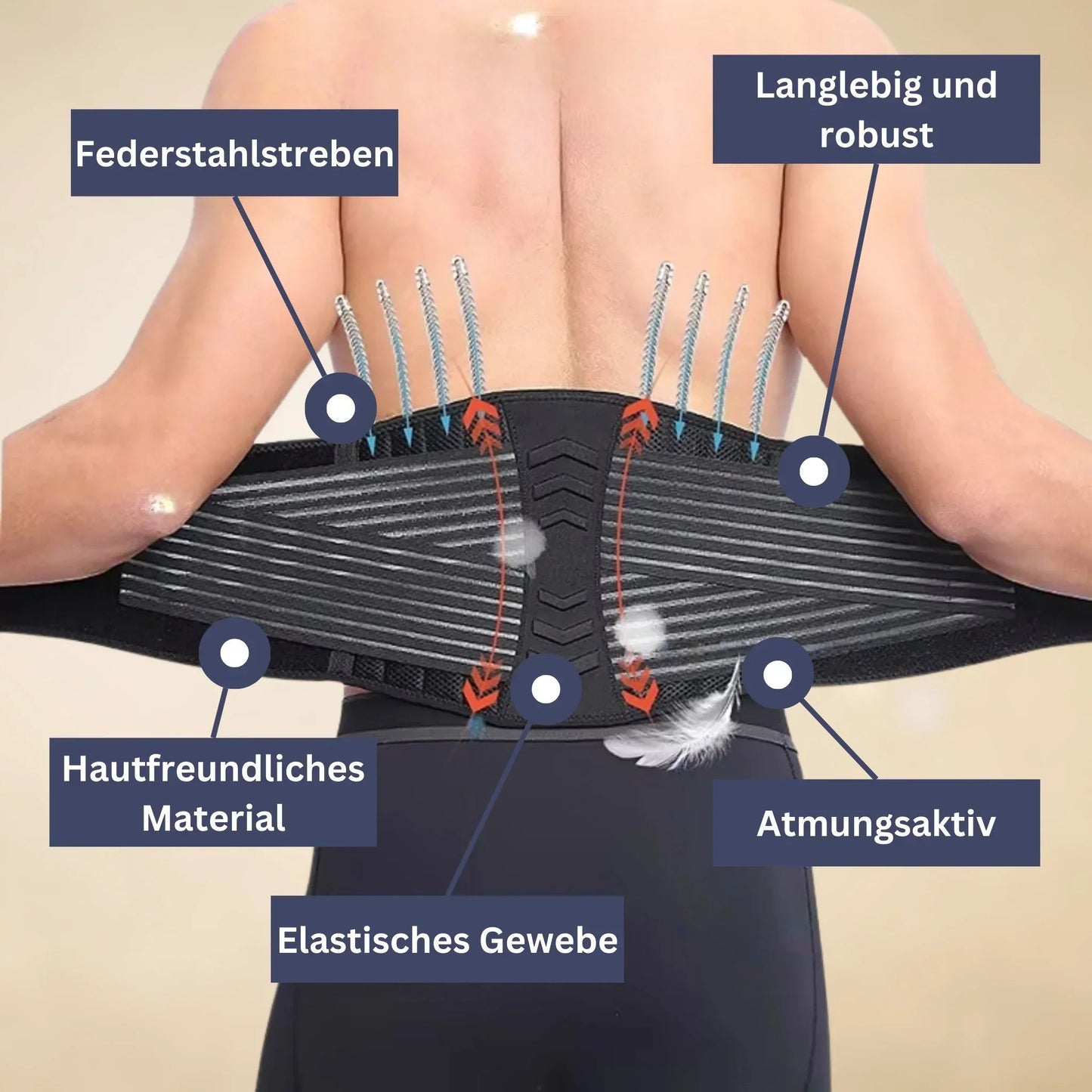 SpineGuard Pro Rückenstützgürtel