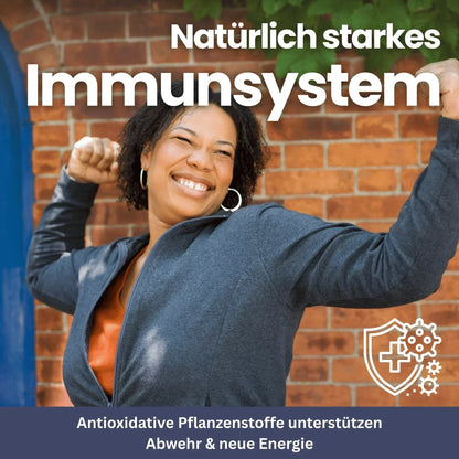 Shilajit Honig Sticks