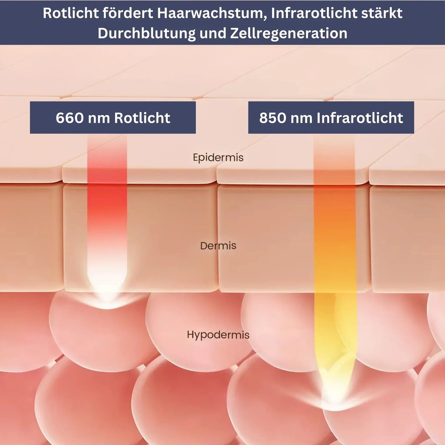HairRevive Lichttherapie-Mütze
