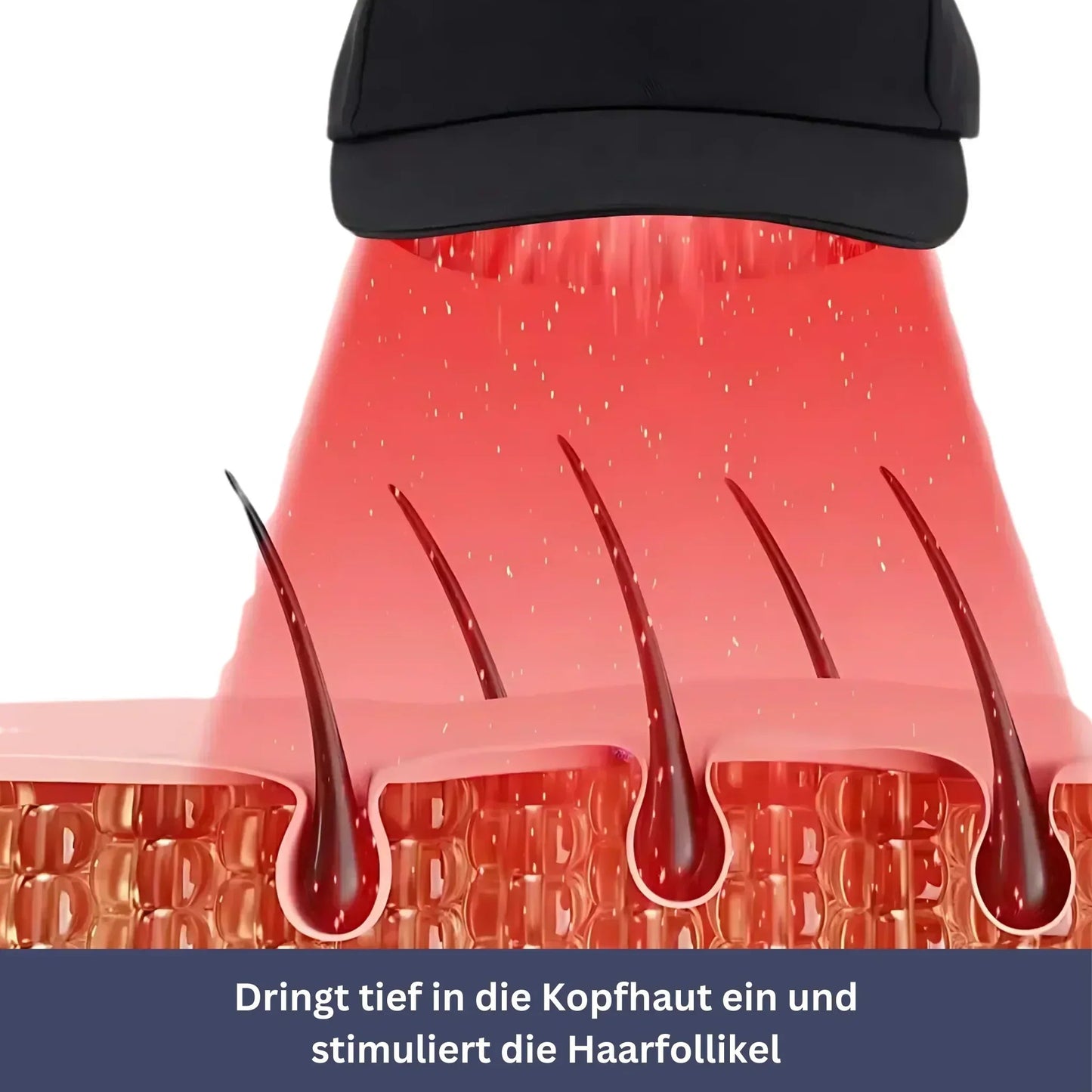 HaarVital Lichttherapie-Kappe