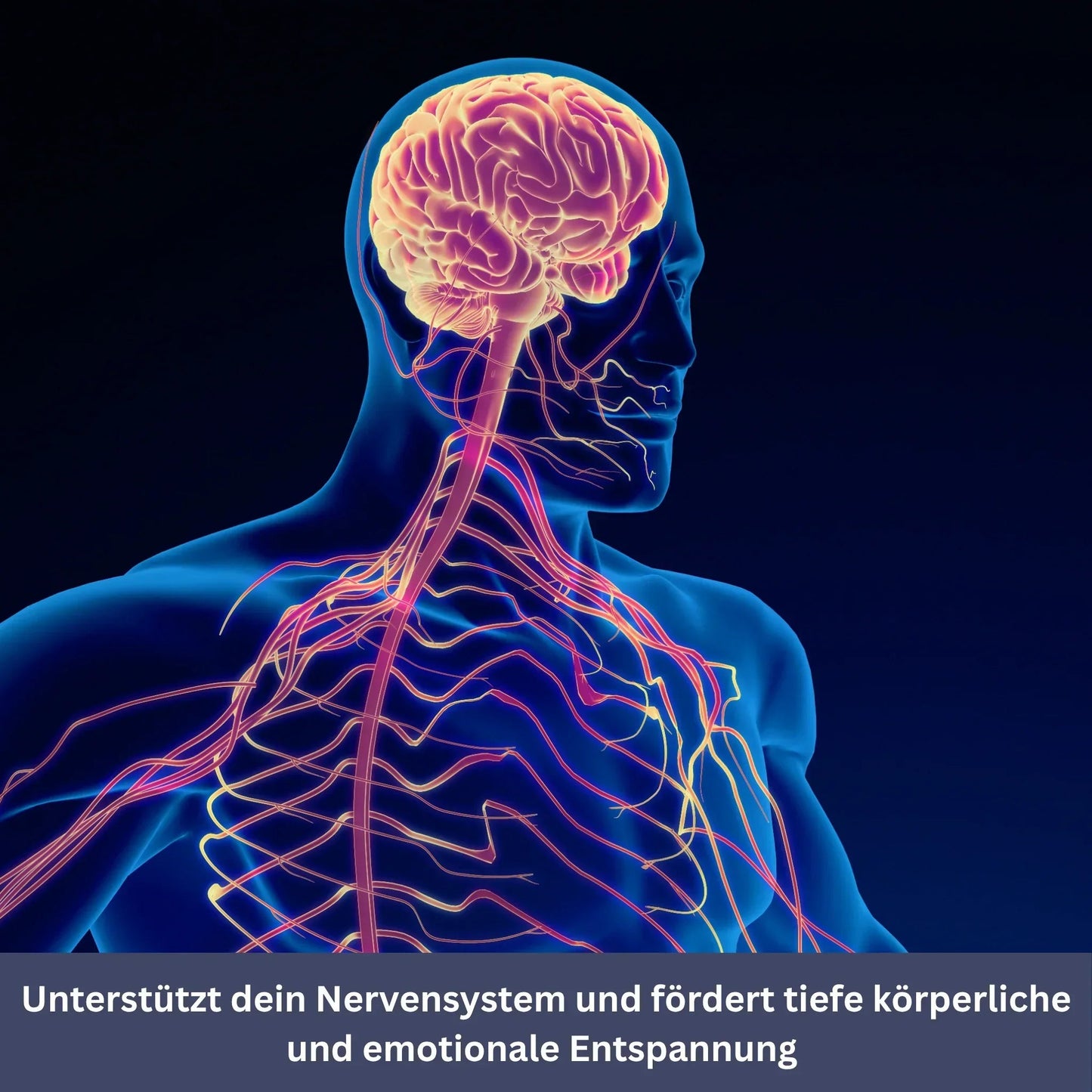 FrequenSana - Tiefe Entspannung durch 128 Hz-Frequenztherapie