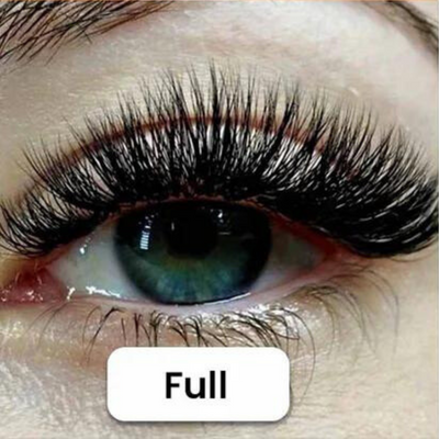 Brillash Magnetic Lash Kit - Premium Collection