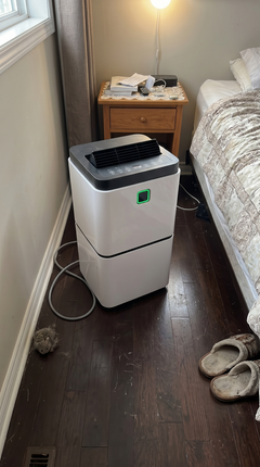 Customer photo