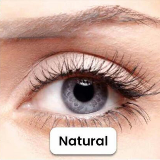 Brillash Magnetic Lash Kit - Premium Collection