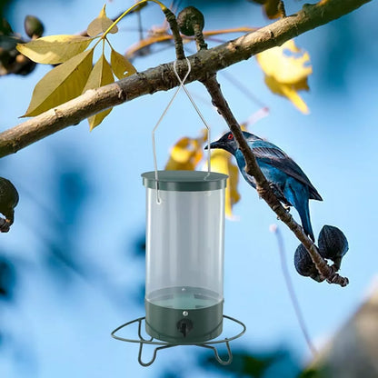 Squirrel Proof Bird Feeder