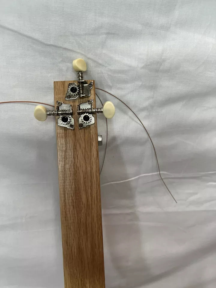 Blues Box Guitar System