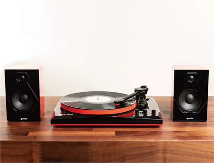 Stereo Turntable System with Speakers