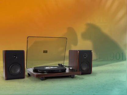 Bluetooth Record Player Stereo System