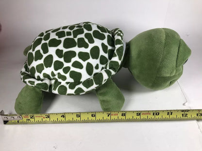 Green Big Eyes Turtle