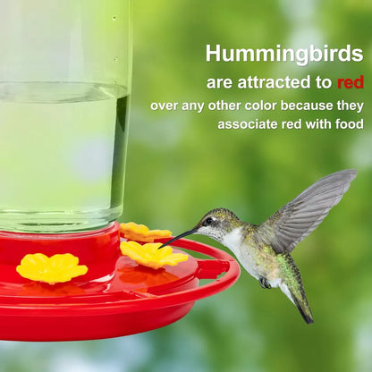 Hanging Bee Proof Hummingbird Water Feeders with Perch