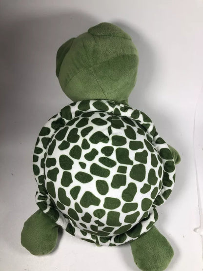 Green Big Eyes Turtle